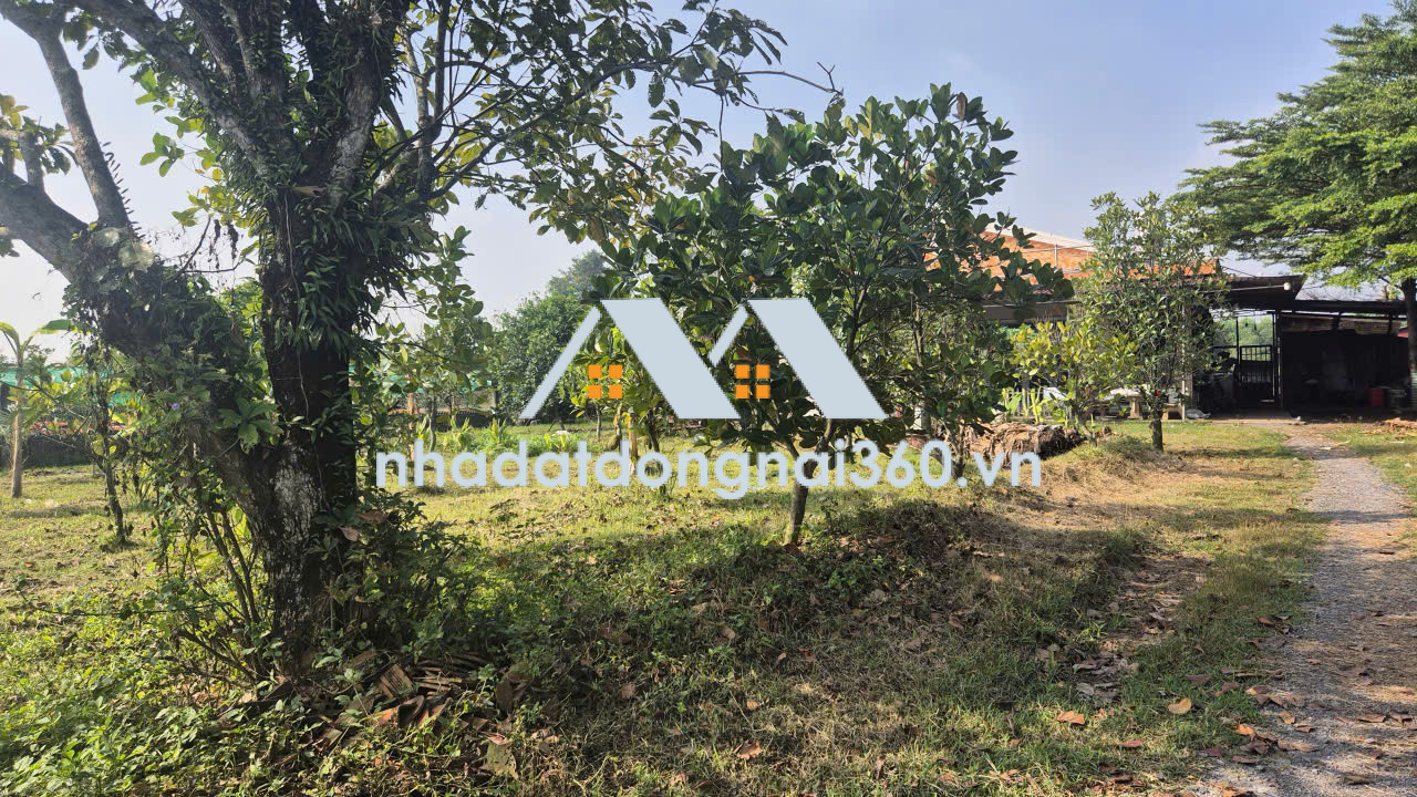 Bán đất Phường Long Bình Tân diện tích 1ha giá chỉ 30 tỷ