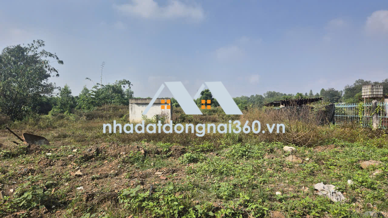 Bán đất Phường Long Bình Tân diện tích 1ha giá chỉ 30 tỷ