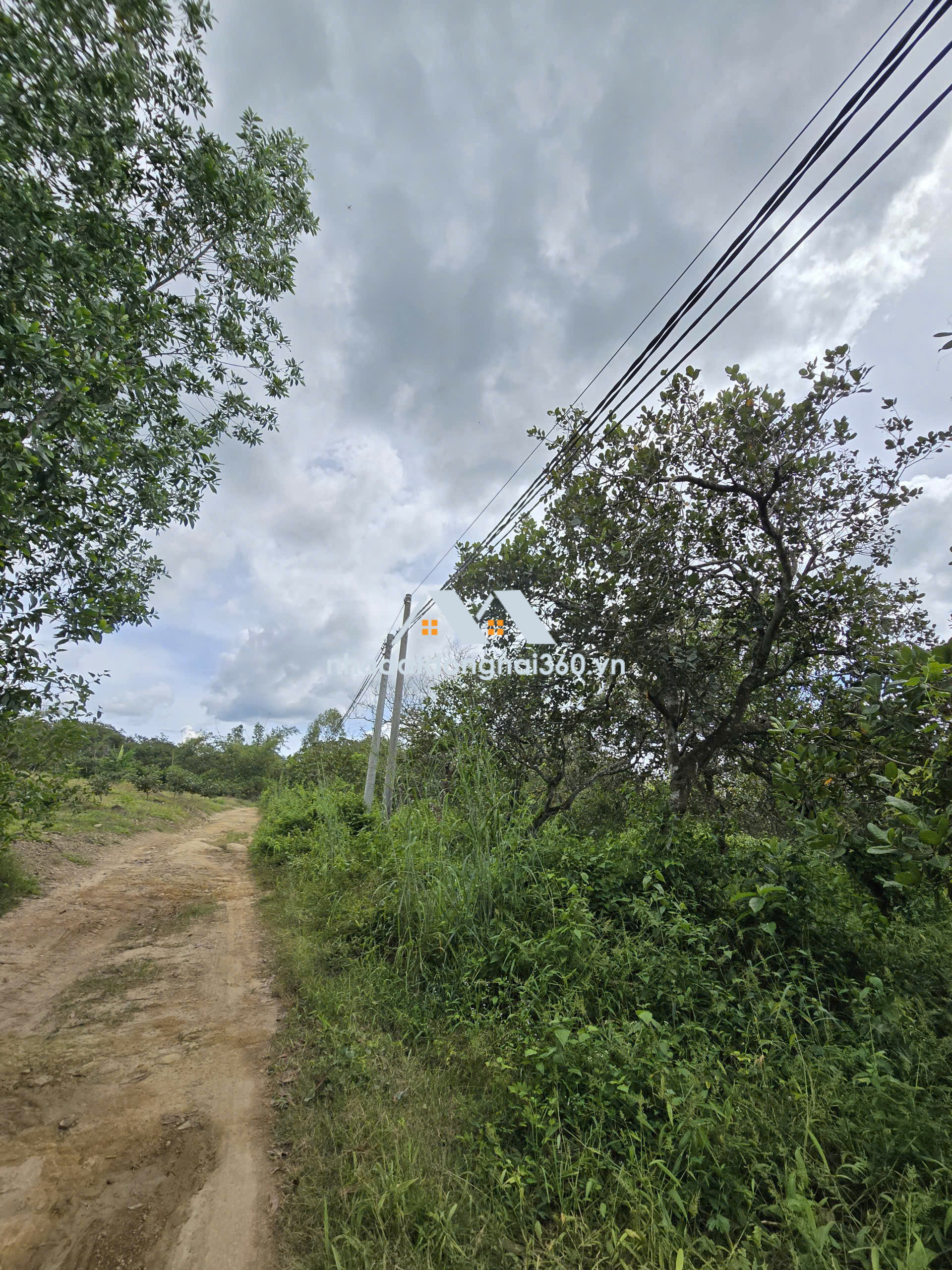 Cần bán gấp lô đất ở Phú Ngọc Định Quán Đồng Nai GIÁ 600TR/THÁNG