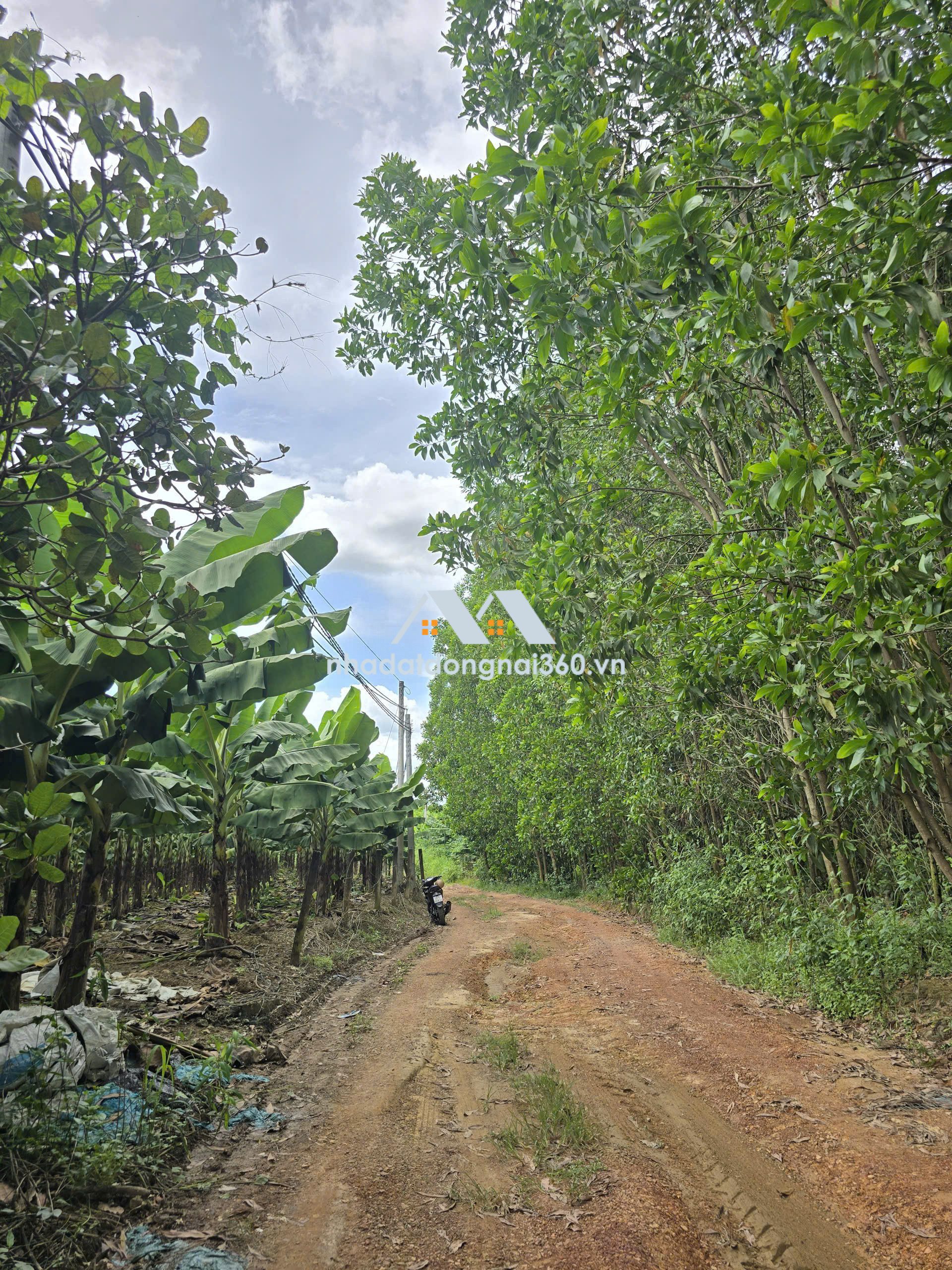 Bán đất tại Phường Trấn Biên, Đồng Nai giá 600 Triệu