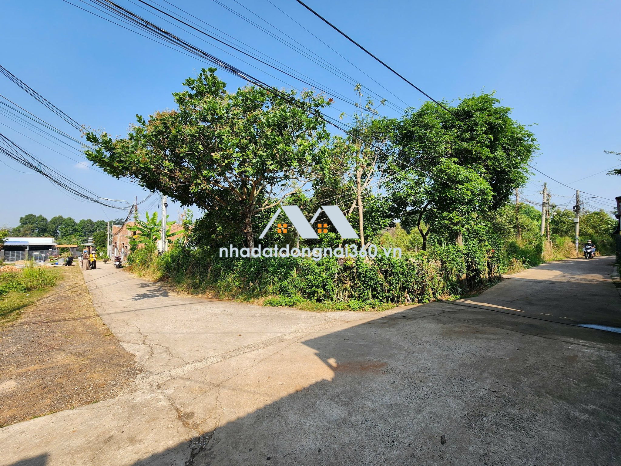 Đất thổ cư, 1 sẹc QL56-Đồi rìu, Gần Cầu Dầu Glamping, P Hàng Gòn, ĐN, Giá chỉ 890 triệu