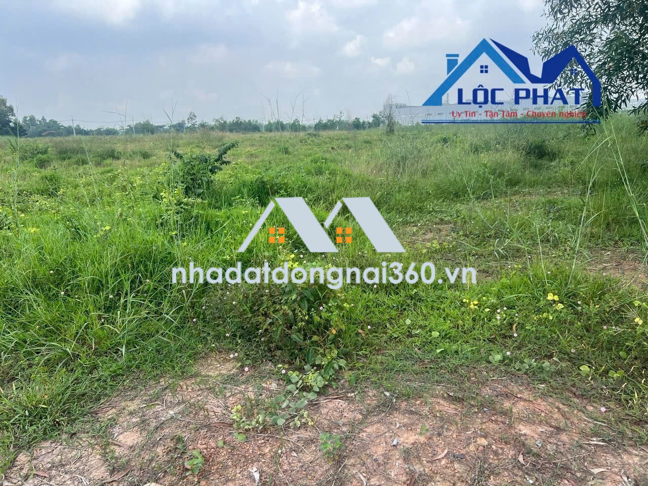 Bán đất xây dựng xưởng 30.000m2 giá chỉ 144,3 tỷ. KCN Trảng Bom-Đồng Nai