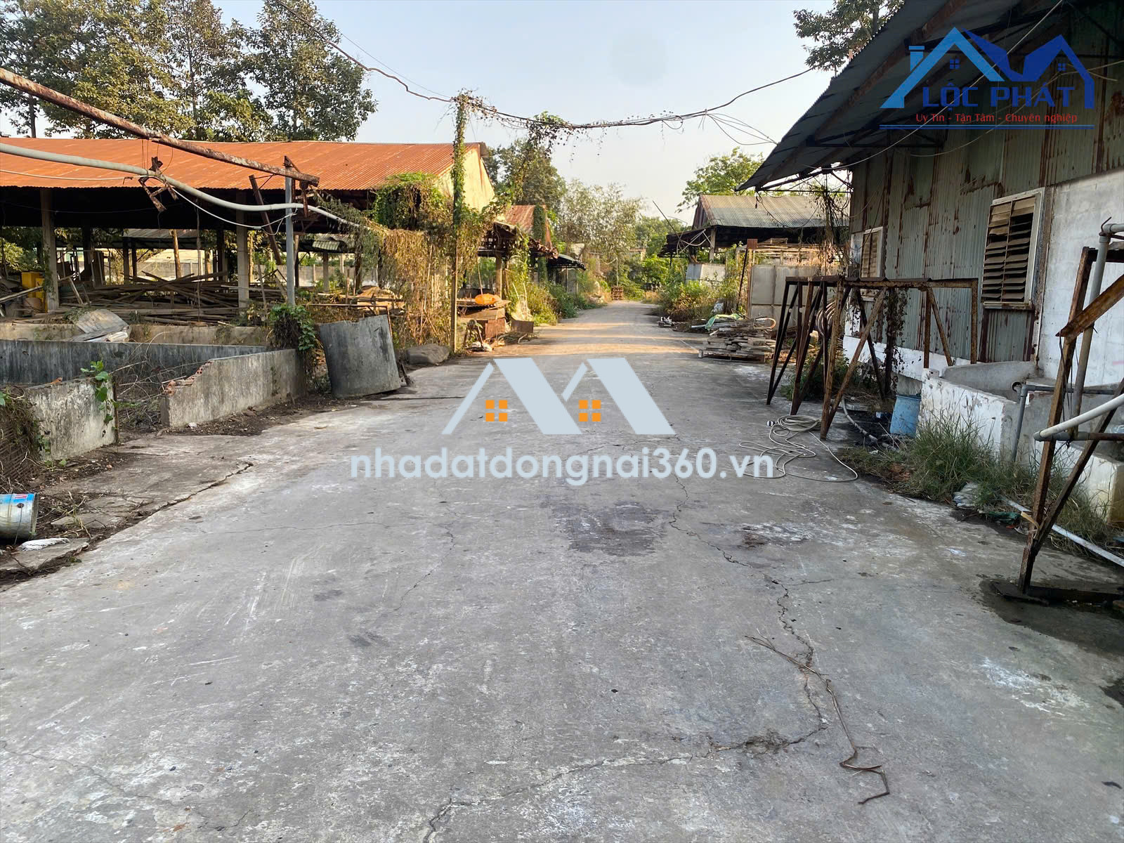 Cho thuê xưởng 1.300m2 giá rẻ chỉ 28 triệu. Trảng Dài-Vĩnh Cửu-Đồng Nai