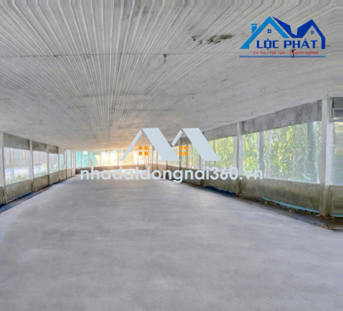 Cho thuê xưởng giá rẻ 1.300m2 chỉ 28 triệu. Trảng Dài-Vĩnh Cửu-Đồng Nai