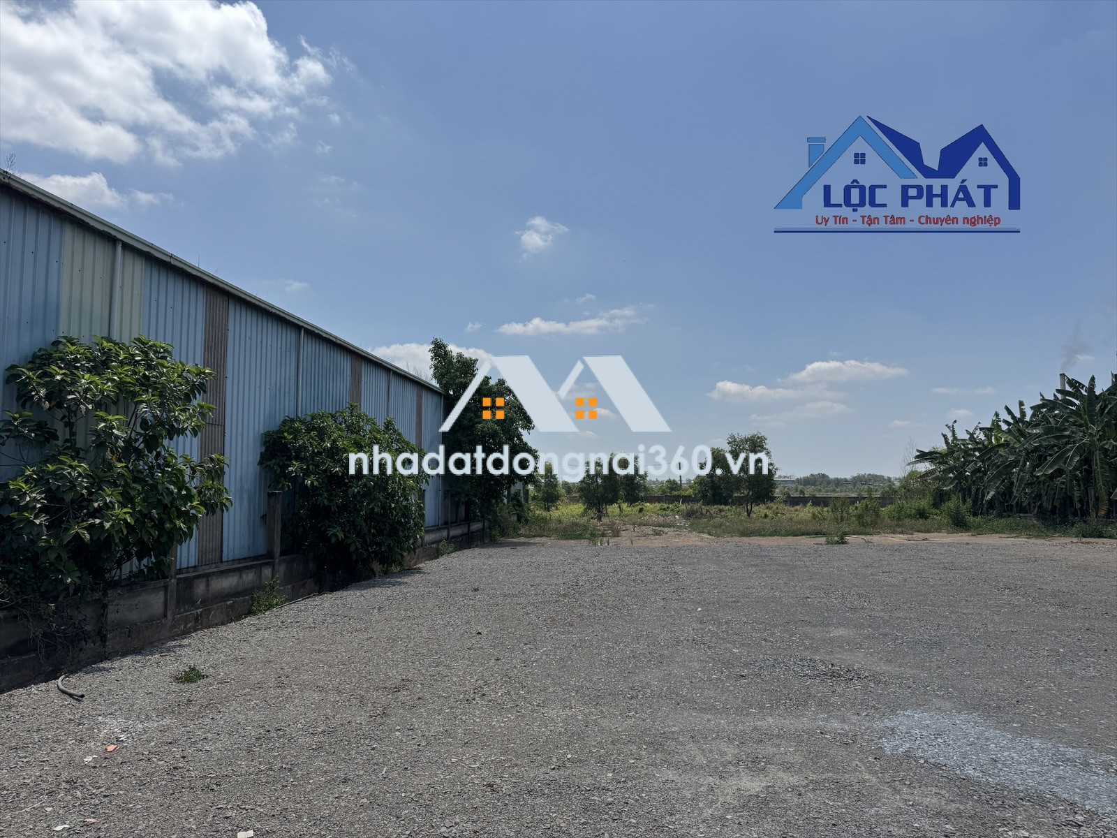 Bán đất cụm công nghiệp Thiện Tân 11.000 m2 chỉ 35 tỷ