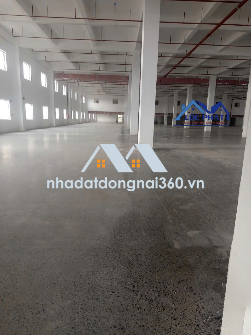 Cho thuê nhà xưởng tại K C N Nhơn Trạch 42.000 m2