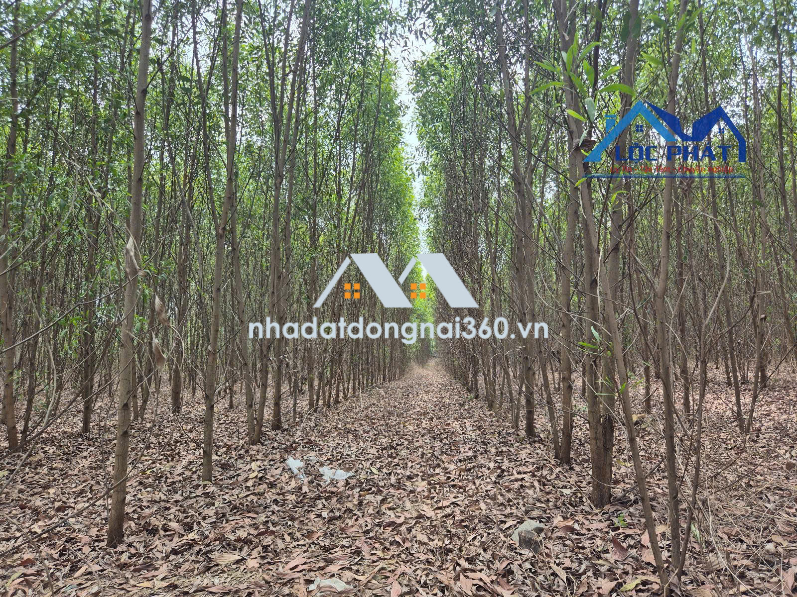 Bán đất xã Hiếu Liêm Vĩnh Cửu gần hồ Trị An dt 19500m2 giá 12 tỷ