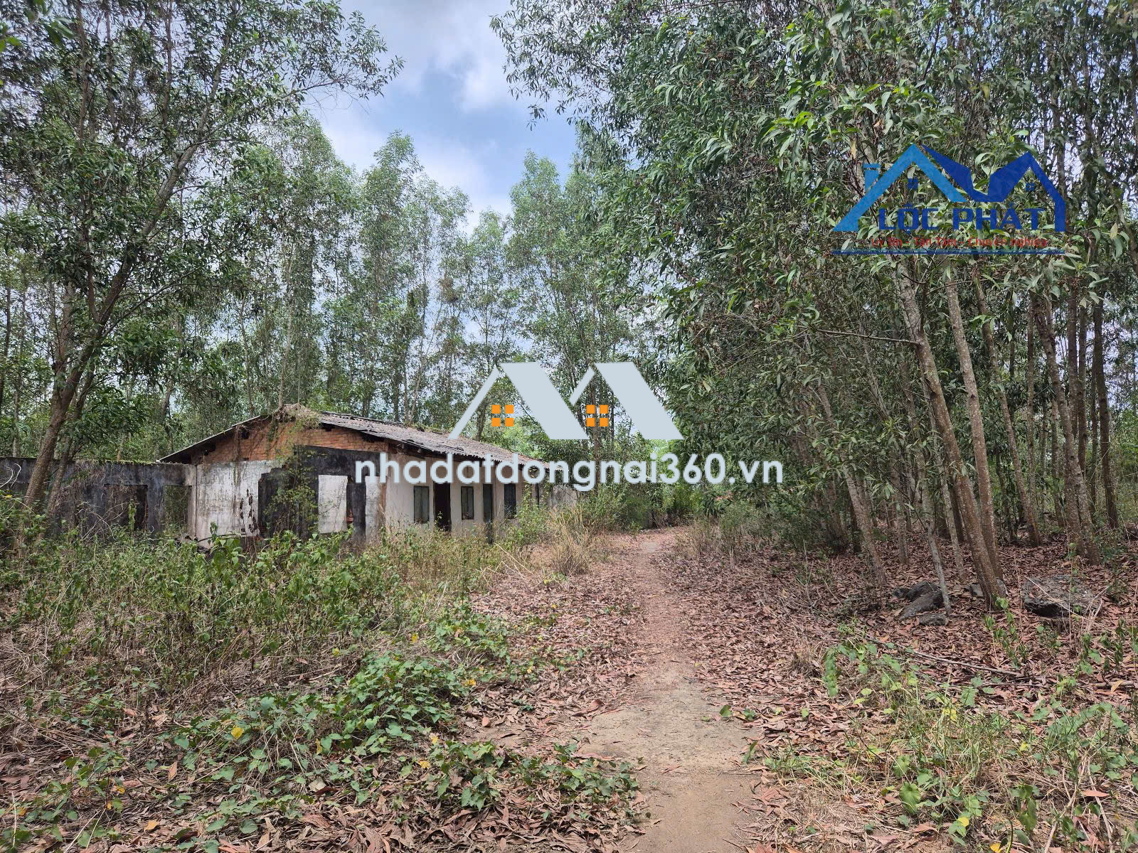 Bán đất xã Hiếu Liêm Vĩnh Cửu gần hồ Trị An dt 19500m2 giá 12 tỷ