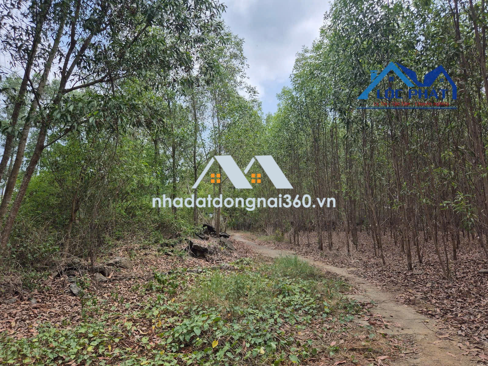 Bán đất xã Hiếu Liêm Vĩnh Cửu gần hồ Trị An dt 19500m2 giá 12 tỷ