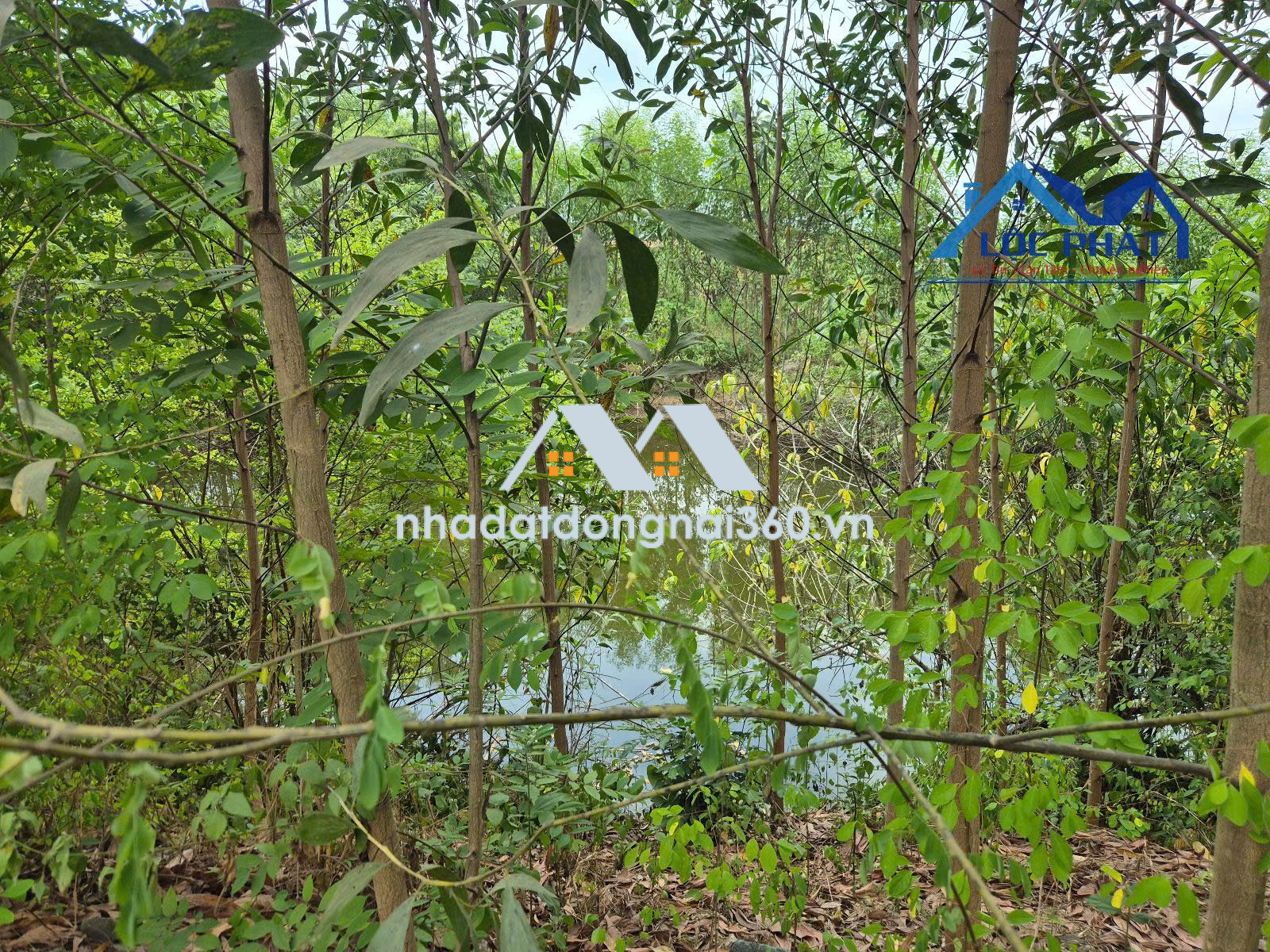 Bán đất xã Hiếu Liêm Vĩnh Cửu gần hồ Trị An dt 19500m2 giá 12 tỷ