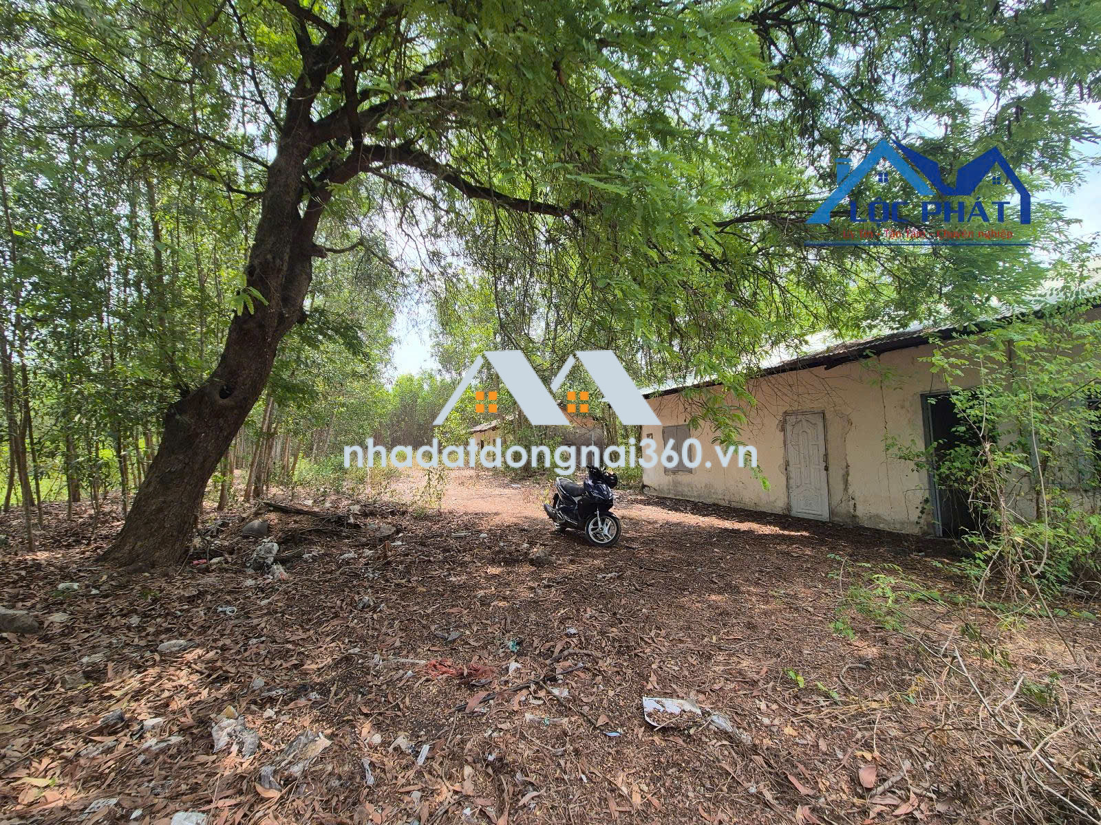 Bán đất xã Hiếu Liêm Vĩnh Cửu gần hồ Trị An dt 19500m2 giá 12 tỷ