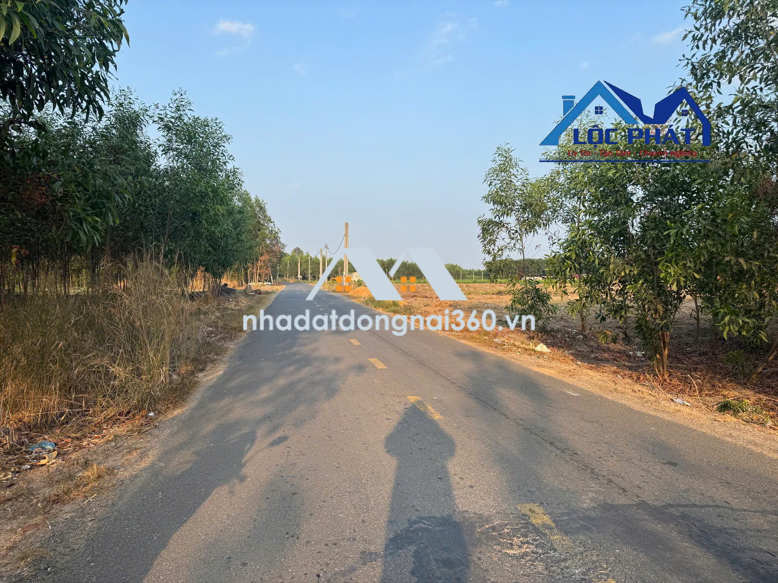 Bán đất tại Xã An Viễn, Đồng Nai giá 14 tỷ  500 triệu