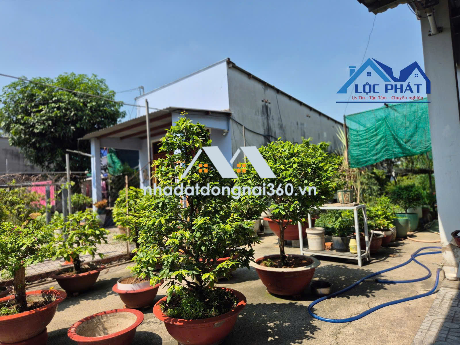 Bán nhà mặt phố tại Phường Trấn Biên, Đồng Nai giá 6 tỷ