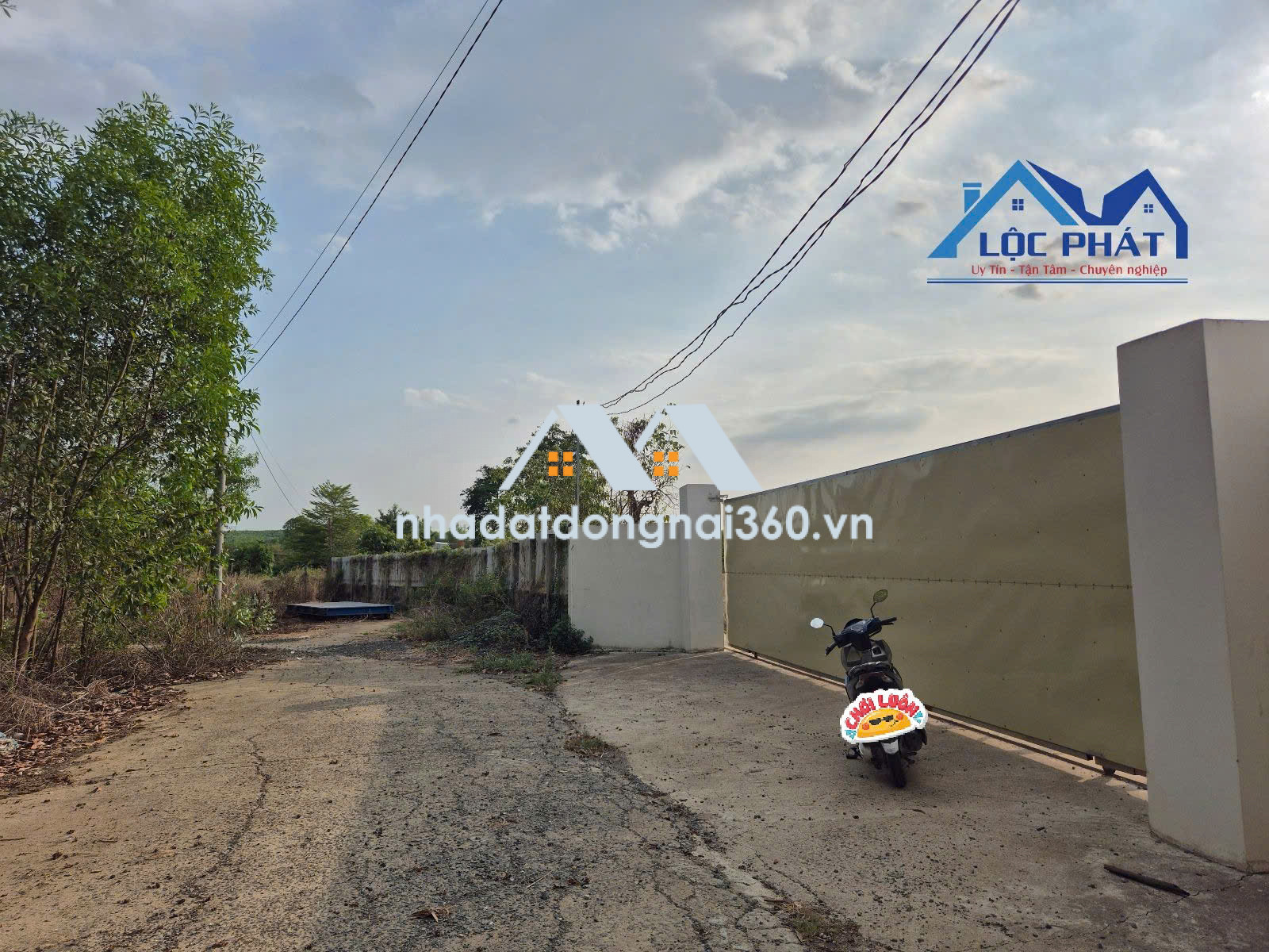 Bán đất xây dựng xưởng 15000m2 tại P. Phước Tân, TP Đồng Nai.