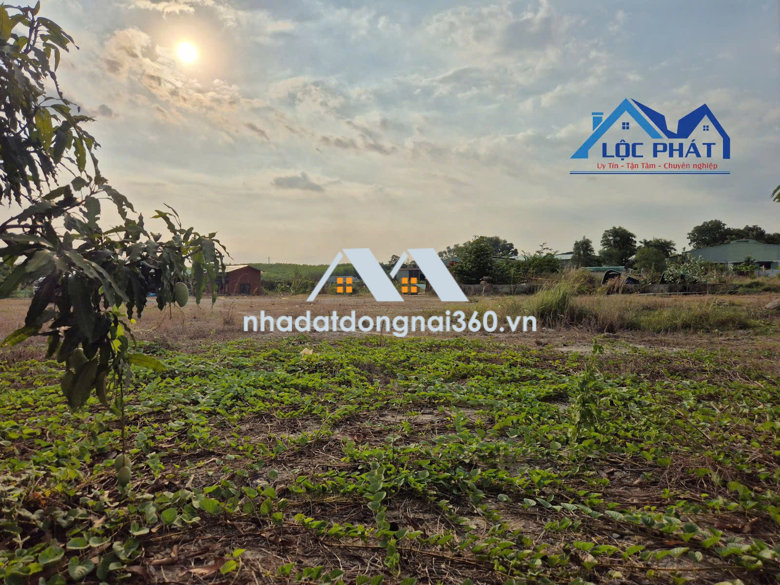 Bán đất xây dựng xưởng 15000m2 tại P. Phước Tân, TP Đồng Nai.