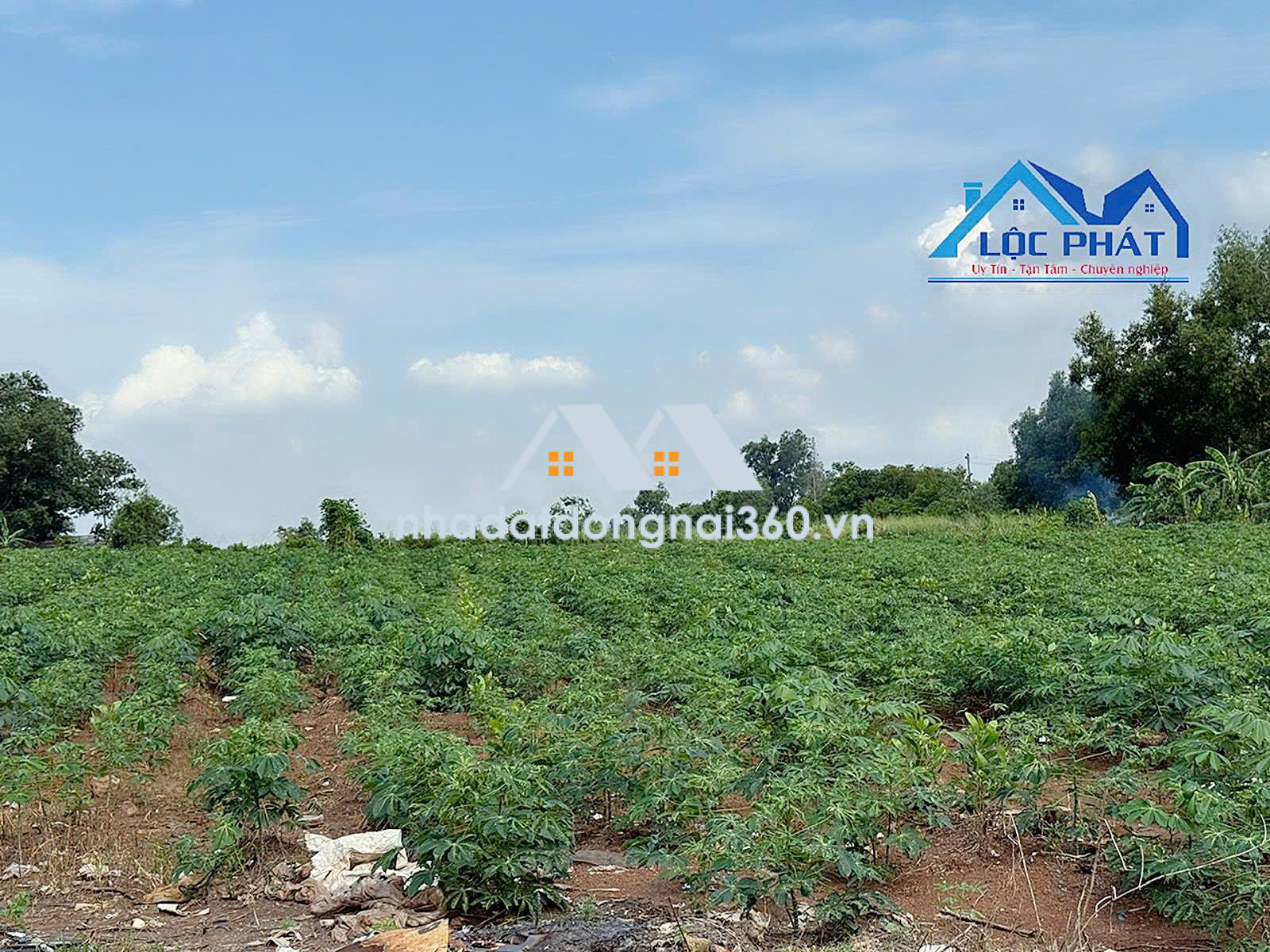Bán đất tại Phường Phước Tân, Đồng Nai giá 55 tỷ