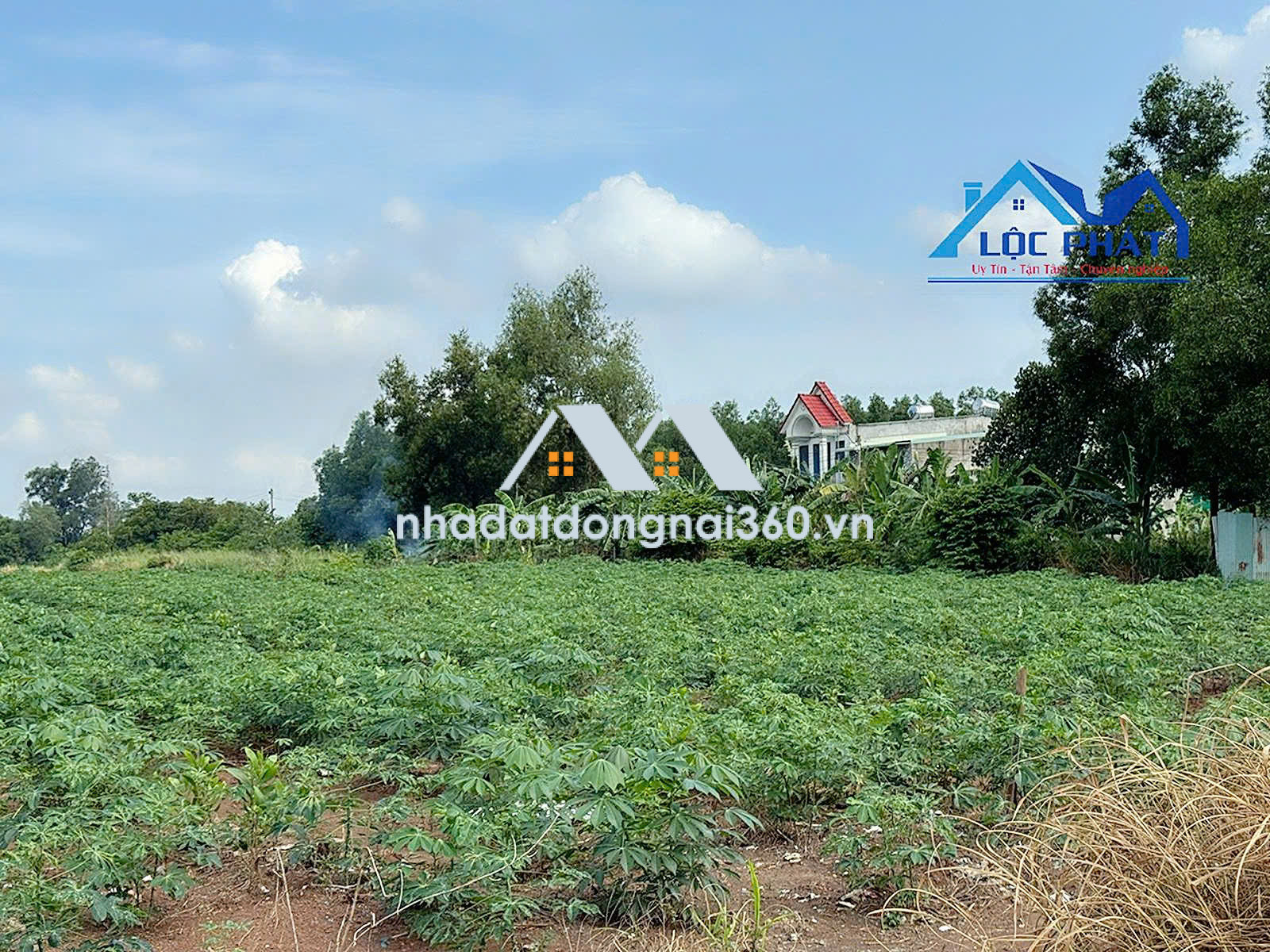 Bán đất tại Phường Phước Tân, Đồng Nai giá 55 tỷ