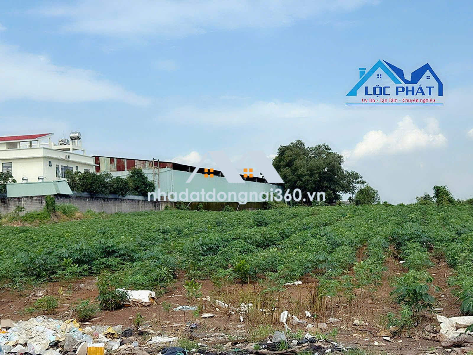 Bán đất tại Phường Phước Tân, Đồng Nai giá 55 tỷ