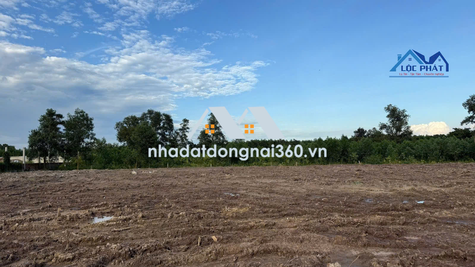 BÁN 4.093m² ĐẤT PHƯỜNG PHƯỚC TÂN – TP ĐỒNG NAI Giá chỉ 2,5 triệu/m²
