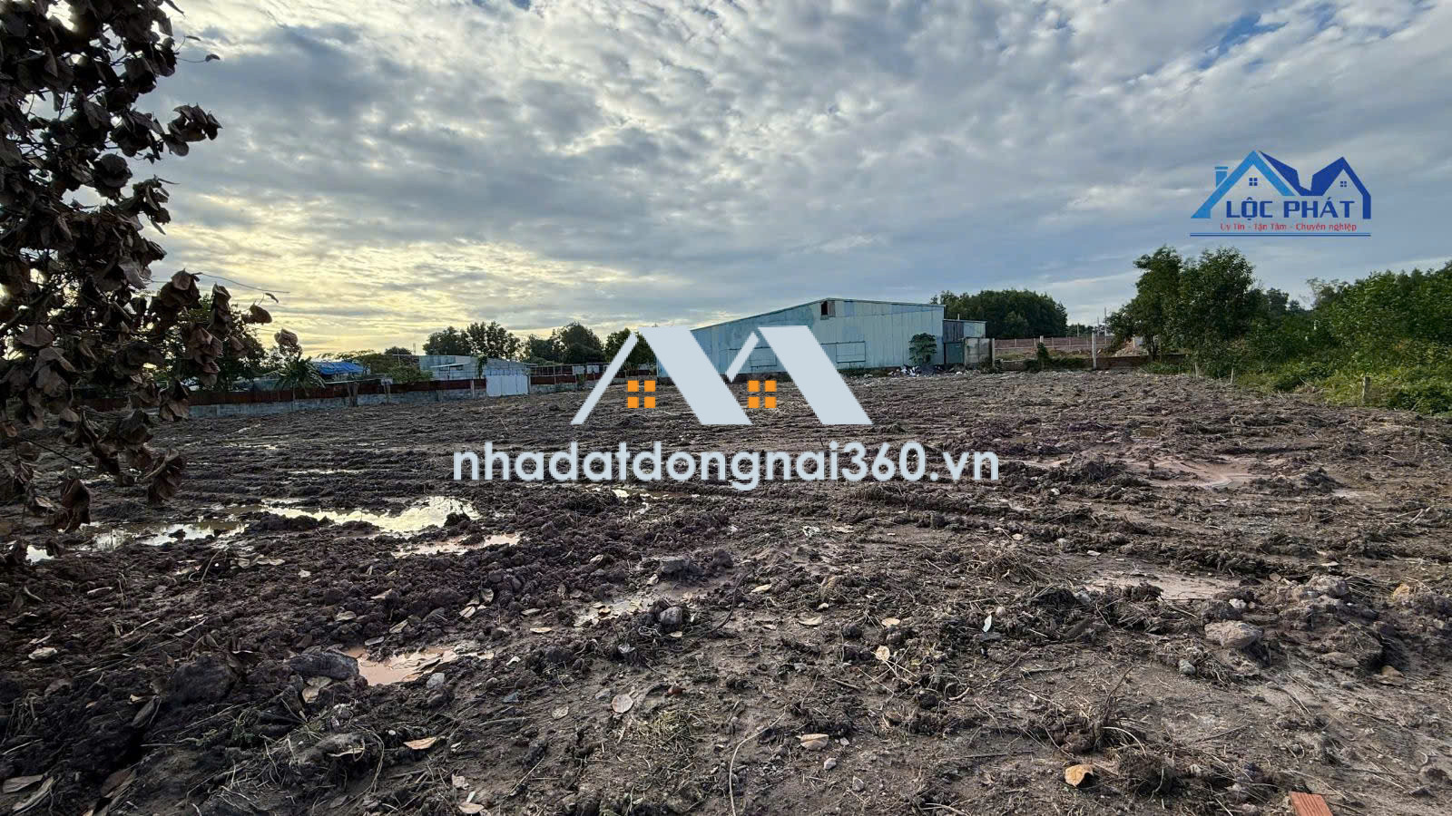 BÁN 4.093m² ĐẤT PHƯỜNG PHƯỚC TÂN – TP ĐỒNG NAI Giá chỉ 2,5 triệu/m²