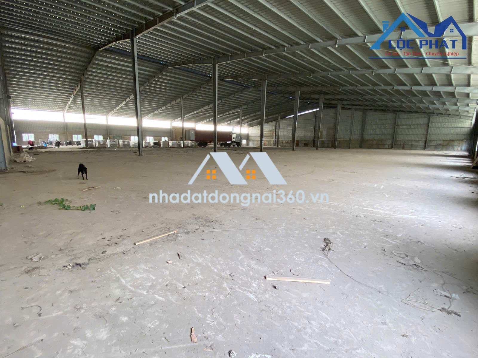 Cho thuê kho xưởng 6.000m² giá rẻ chỉ 200 triệu. P Trảng Dài-Đồng Nai