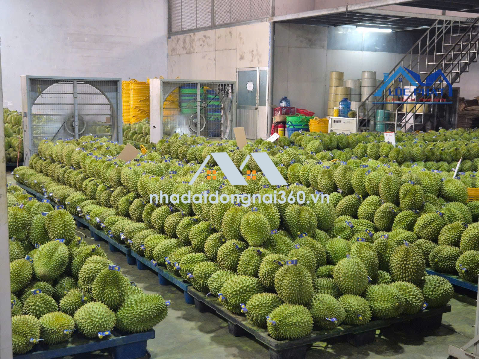 Bán nhà Xưởng tại Long Khánh Đồng Nai 8300m² giá chỉ 95 tỷ