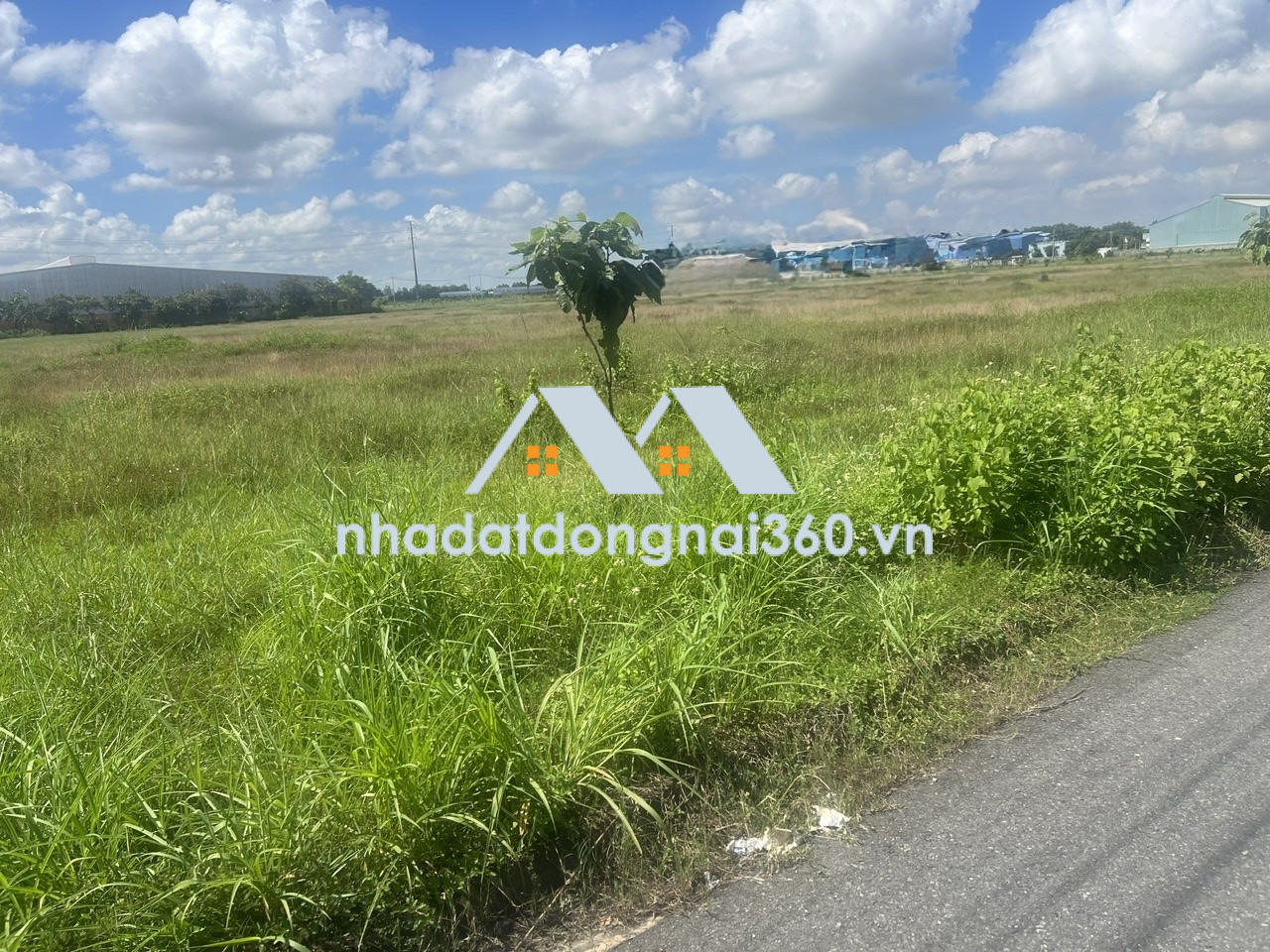 Bán đất xây dựng xưởng 10.500m2 giá rẻ chỉ 52 tỷ. CCN Nhơn Trạch-Đồng Nai