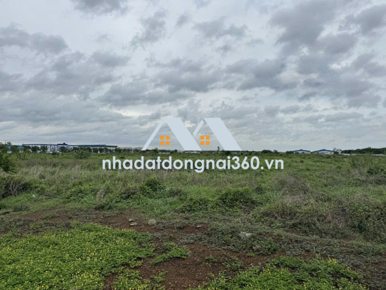 Bán đất xây dựng xưởng 10.500m2 giá rẻ chỉ 52 tỷ. CCN Nhơn Trạch-Đồng Nai