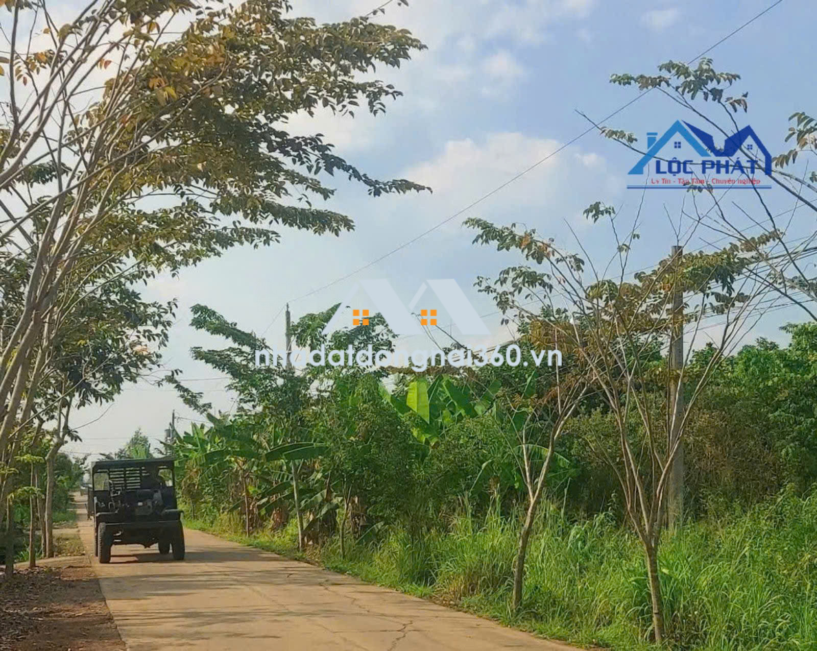 BÁN VƯỜN DỪA XIÊM LỬA ĐANG CHO THU NHẬP ỔN ĐỊNH TẠI CẨM MỸ - ĐỒNG NAI