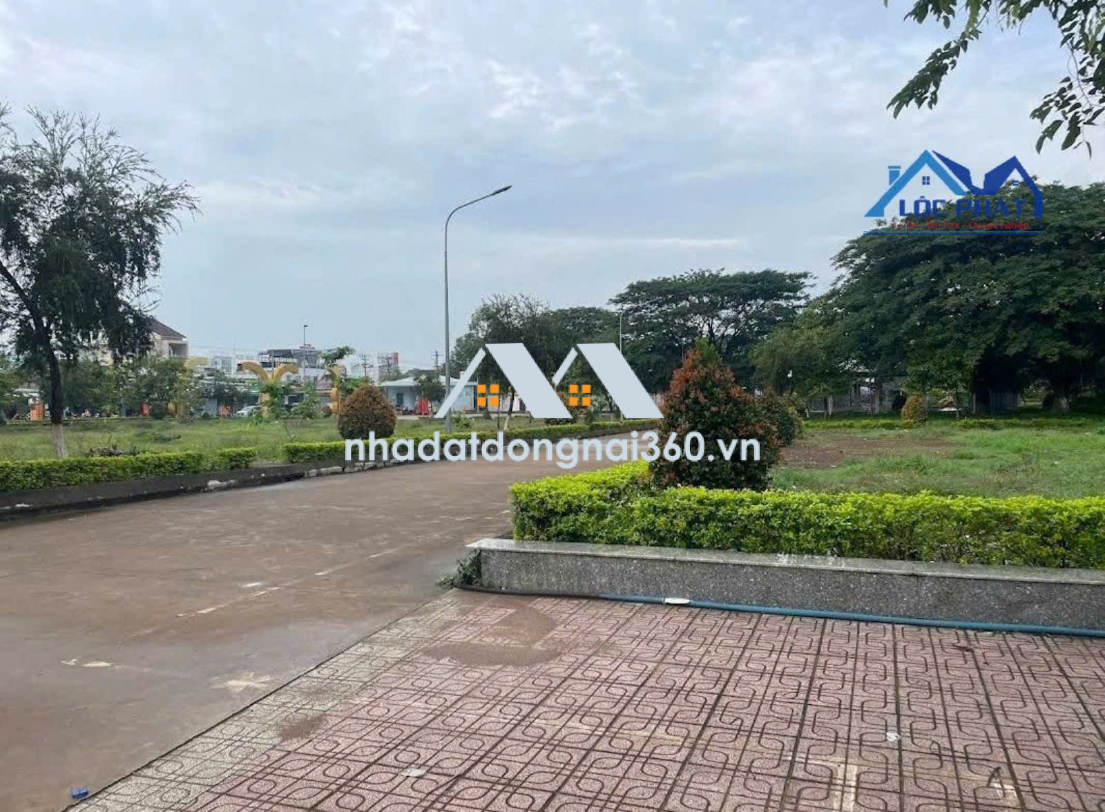 BÁN VƯỜN DỪA XIÊM LỬA ĐANG CHO THU NHẬP ỔN ĐỊNH TẠI CẨM MỸ - ĐỒNG NAI