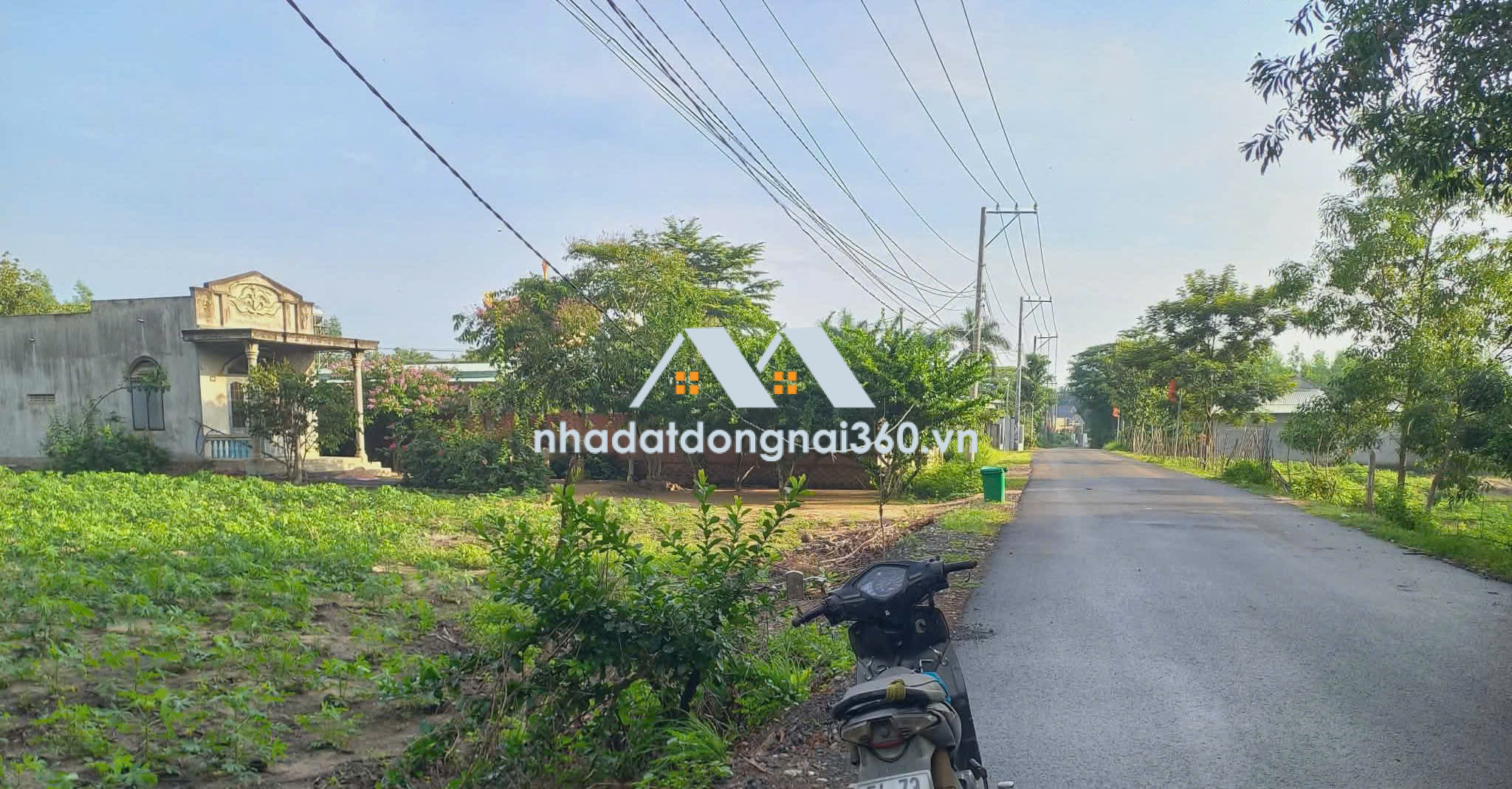 CHÍNH CHỦ CẦN BÁN LÔ ĐẤT THỔ CƯ 1976m2 ĐẦU TƯ SINH LỜI