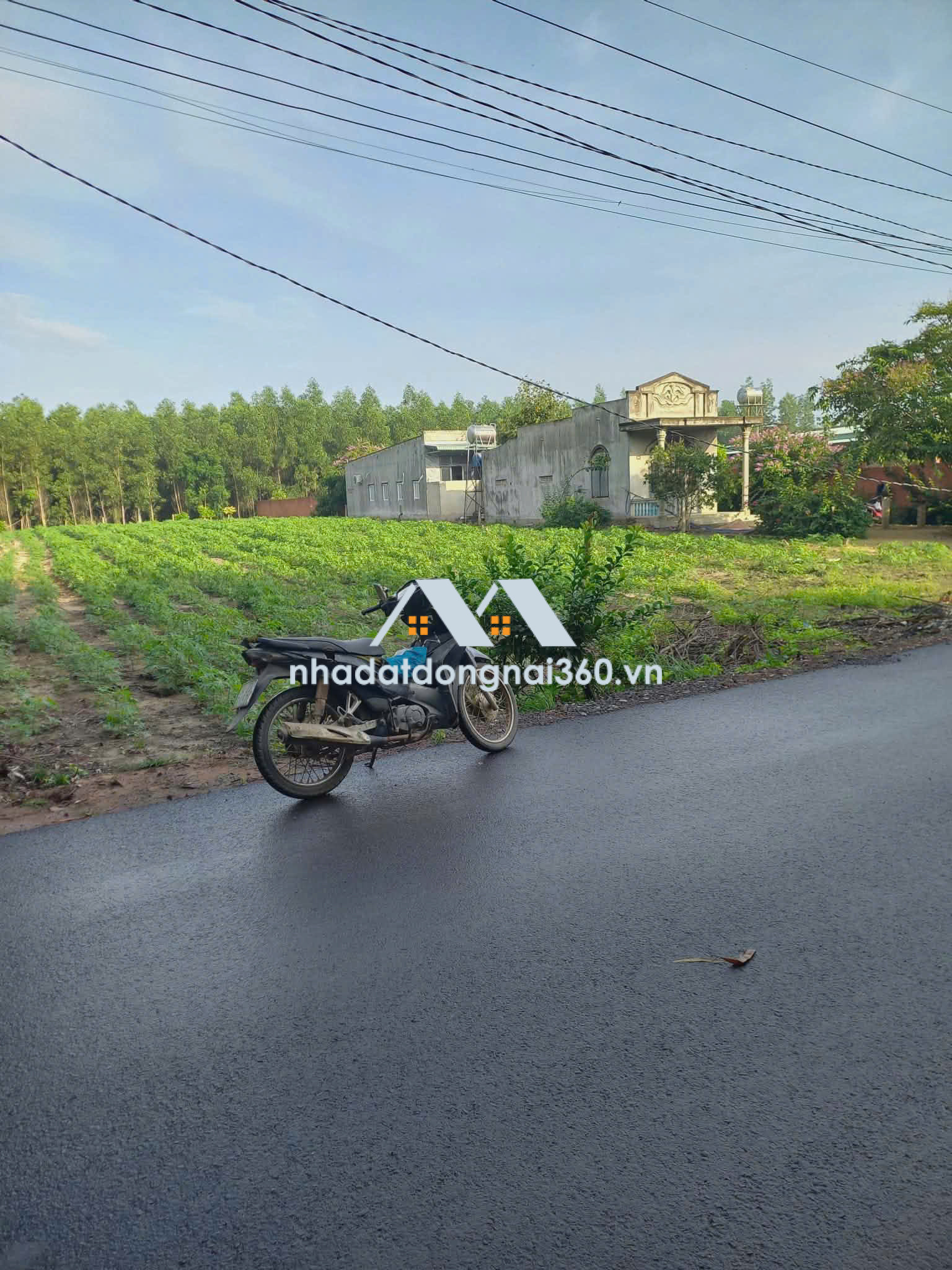 CHÍNH CHỦ CẦN BÁN LÔ ĐẤT THỔ CƯ 1976m2 ĐẦU TƯ SINH LỜI