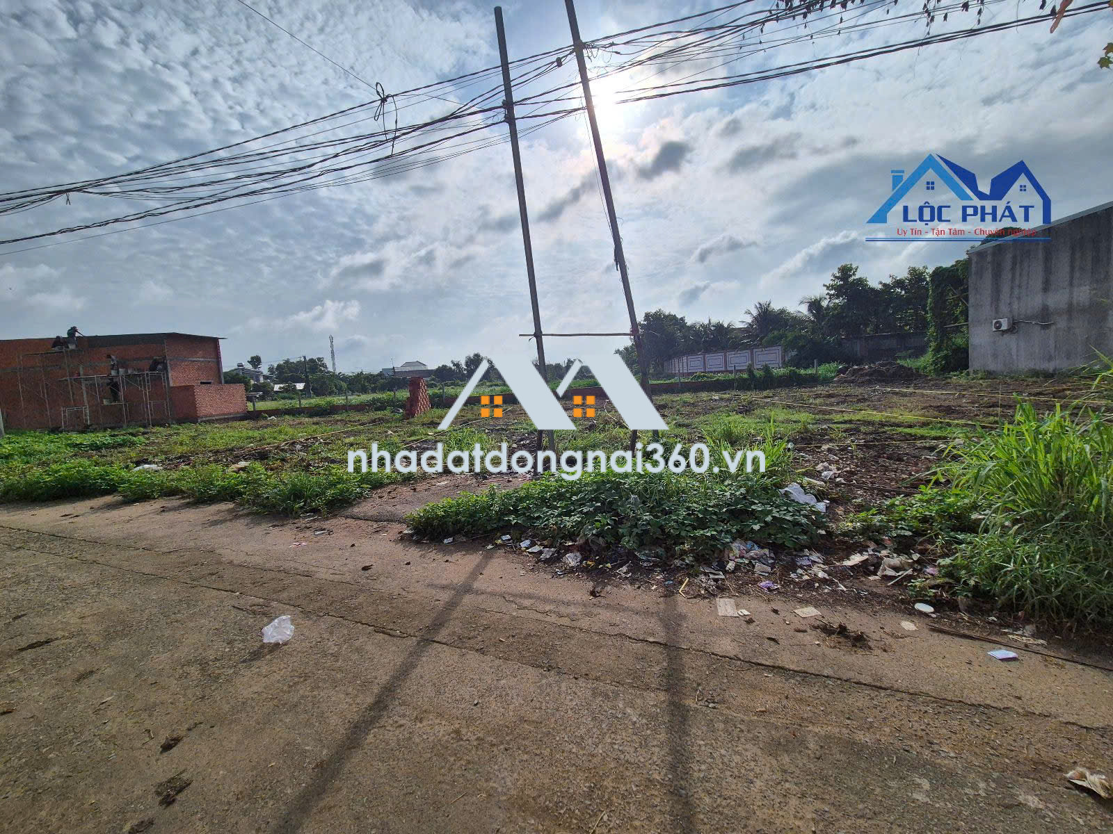Bán đất Phường Tân Triều TP Đồng Nai 90m² giá 1,45 tỷ