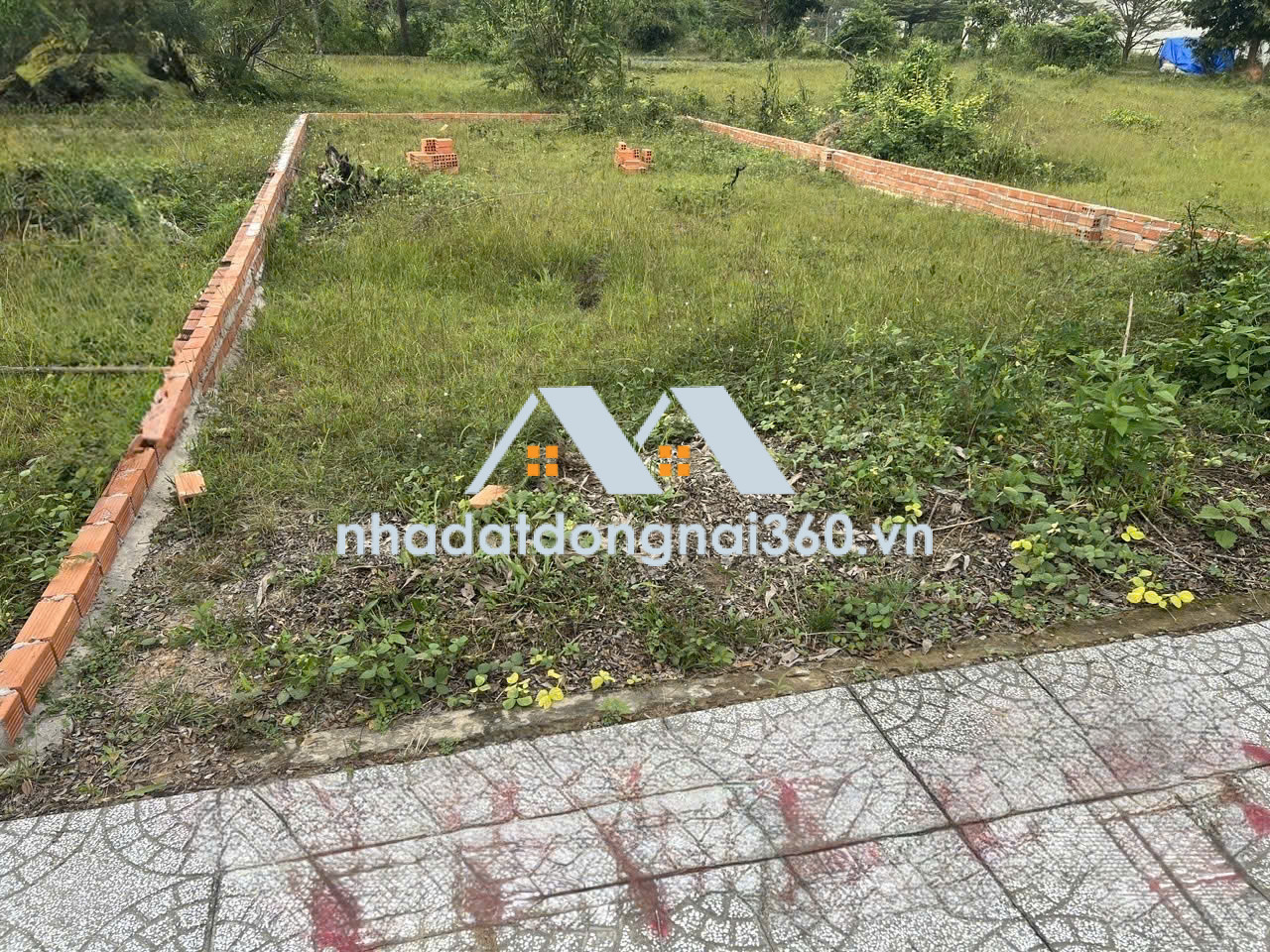 D29 | BÁN ĐẤT FULL THỔ CƯ NGAY CỔNG KCN LONG THÀNH – CHỈ 1,55 TỶ