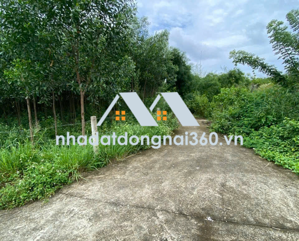 BÁN ĐẤT ĐẸP 2 MẶT TIỀN  XÃ GIA CANH – HUYỆN ĐỊNH QUÁN – ĐỒNG NAI dt 2.069m² 4 tỷ