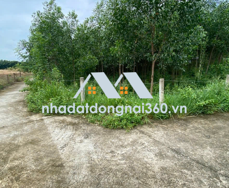 BÁN ĐẤT ĐẸP 2 MẶT TIỀN  XÃ GIA CANH – HUYỆN ĐỊNH QUÁN – ĐỒNG NAI dt 2.069m² 4 tỷ