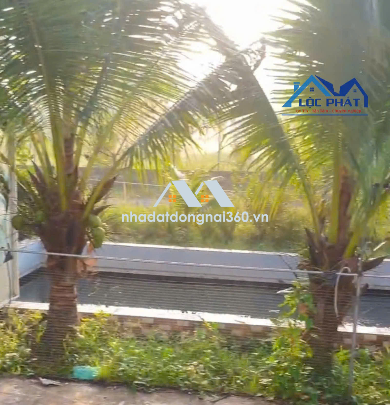 BÁN NHÀ VƯỜN NGHỈ DƯỠNG – VĨNH TÂN, VĨNH CỬU, ĐỒNG NAI