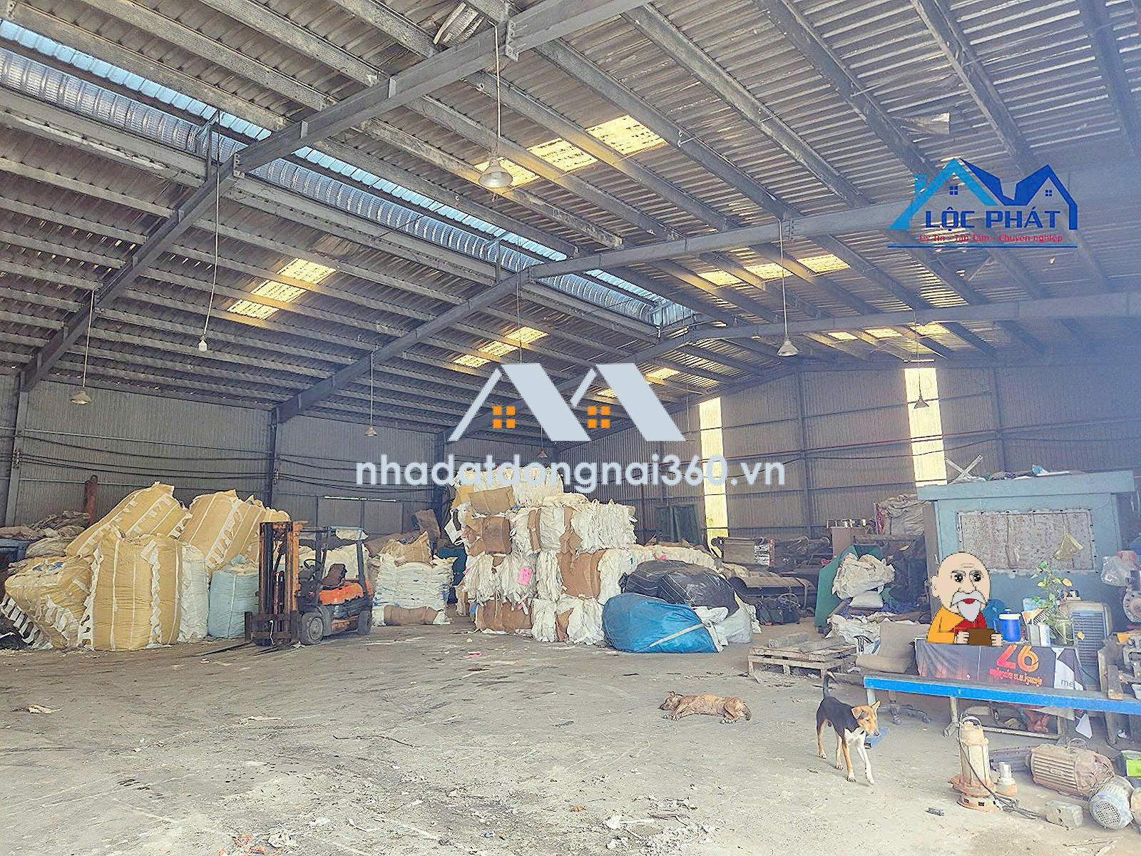 Bán Đất Xưởng 9.000m2 Tại Hố Nai 3, Trảng Bom – Có sẵn dòng tiền thuê