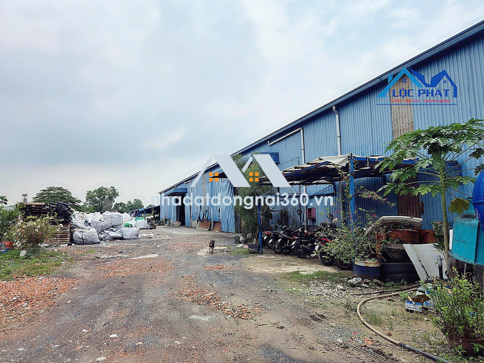 Bán Đất Xưởng 9.000m2 Tại Hố Nai 3, Trảng Bom – Có sẵn dòng tiền thuê