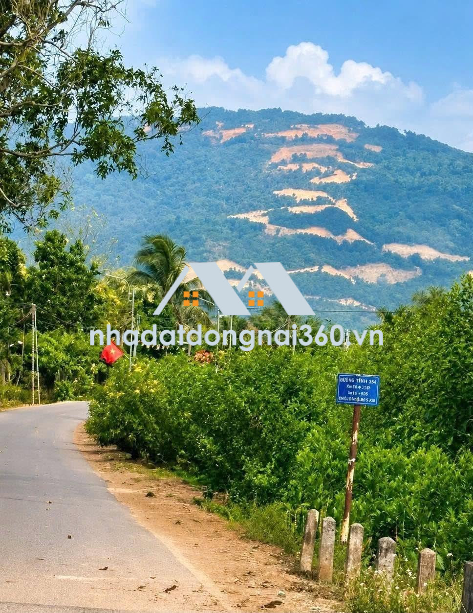 Chính Chủ Bán 1000m2 Đất Vườn P. Xuân Lộc, View Núi Chứa Chan, đường ÔTô 8m.