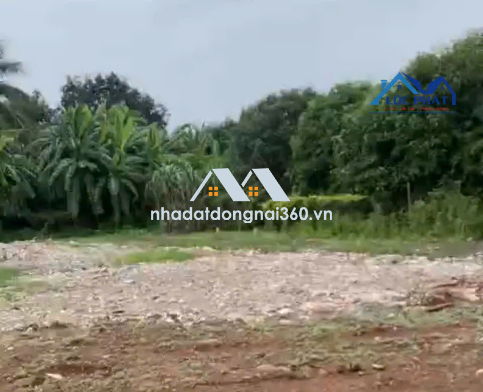 BÁN ĐẤT NỀN SÔNG RAY – CẨM MỸ | GIÁ QUÁ TỐT CHỈ 4,5 TỶ/10 NỀN