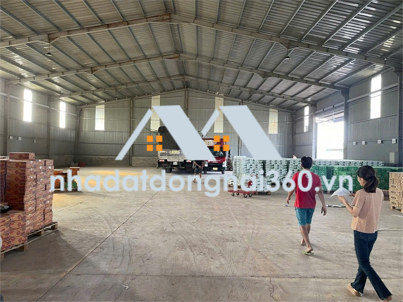XT236 nhà xưởng sản xuất kinh doanh, khung thép lớn sẵn sàng xưởng trống bàn giao liền