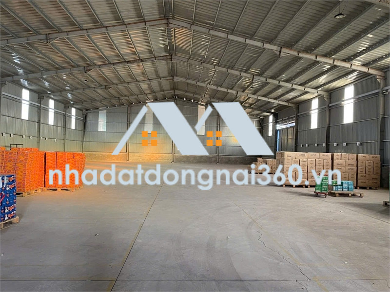 XT236 nhà xưởng sản xuất kinh doanh, khung thép lớn sẵn sàng xưởng trống bàn giao liền