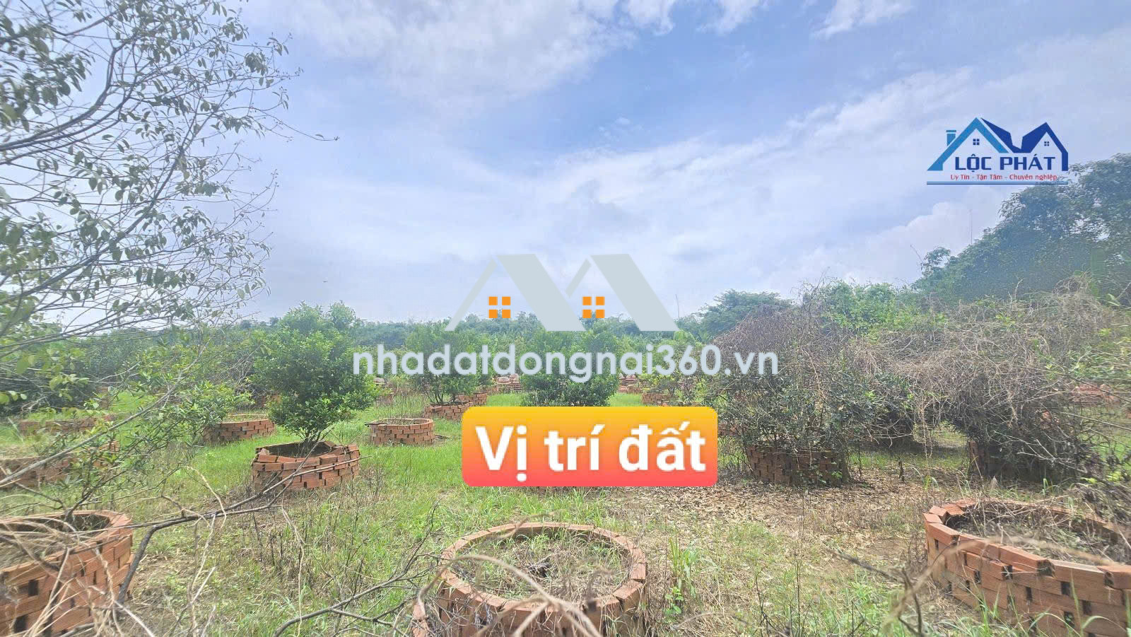 BÁN QUỸ ĐẤT GẦN 2 HECTA – BÌNH LỢI, ĐỒNG NAI | GIÁ 30 TỶ