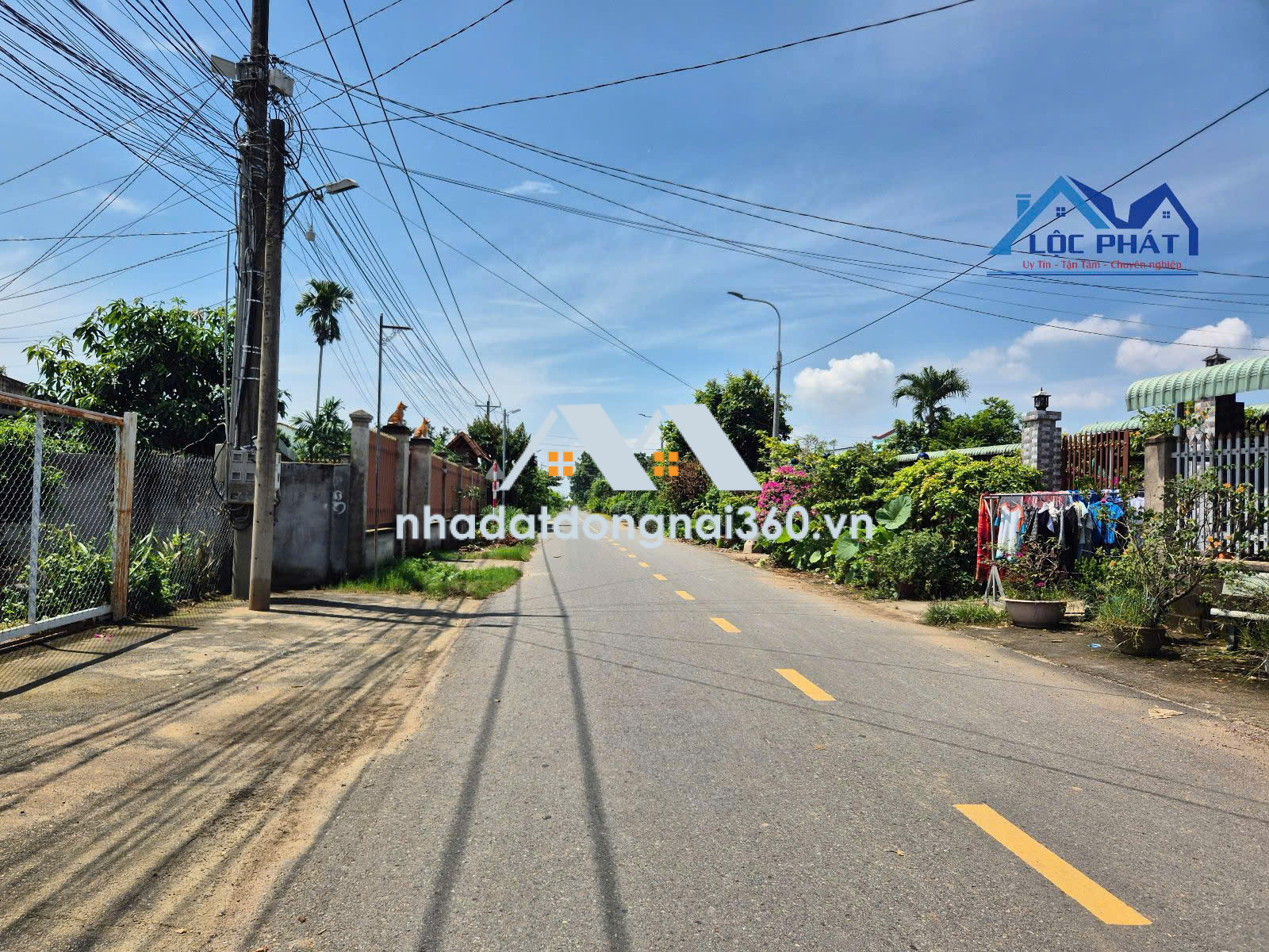 BÁN QUỸ ĐẤT GẦN 2 HECTA – BÌNH LỢI, ĐỒNG NAI | GIÁ 30 TỶ