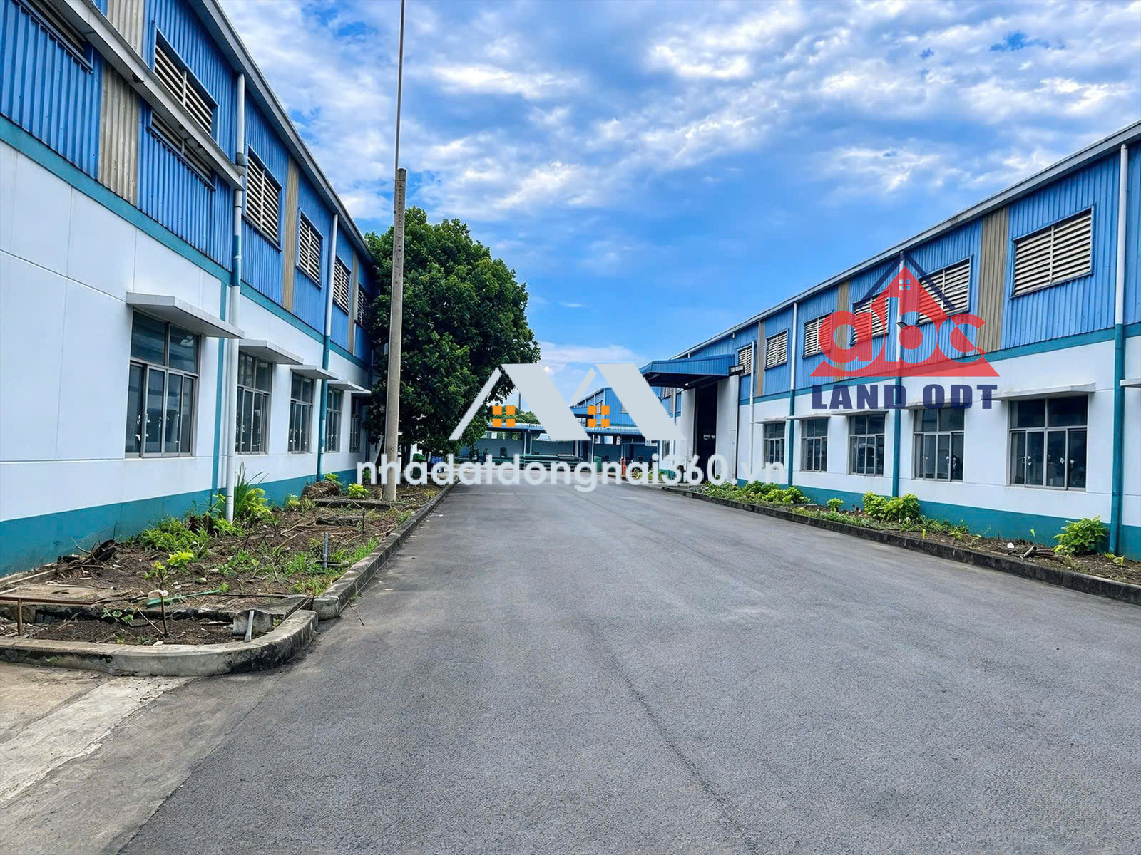 XT251 nhà xưởng sản xuất thu hút linh hoạt, trống xưởng sẵn sàng cho thuê bàn giao liền