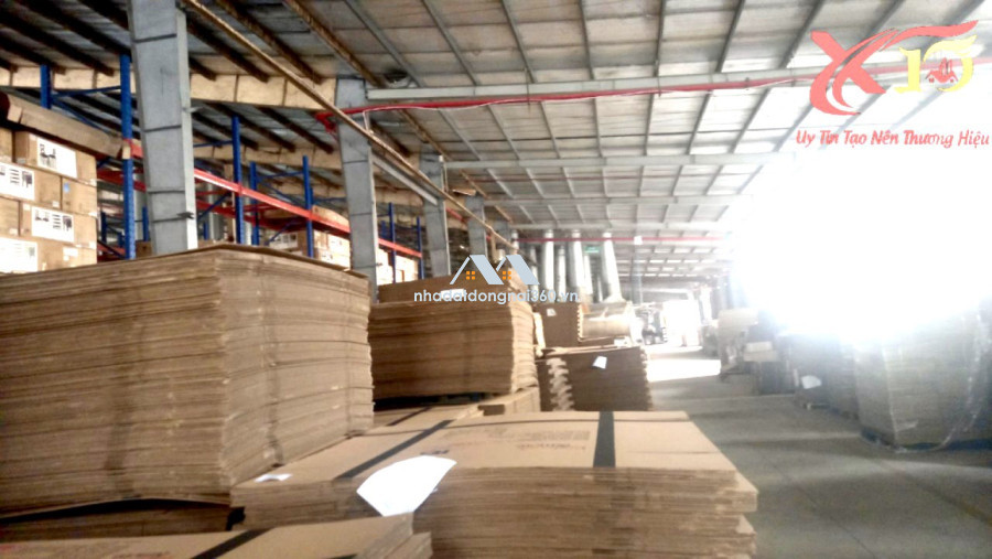 Bán xưởng gần 20.000m2 tại p Tam Phước, Biên Hòa giá rẻ nhất chỉ 87T