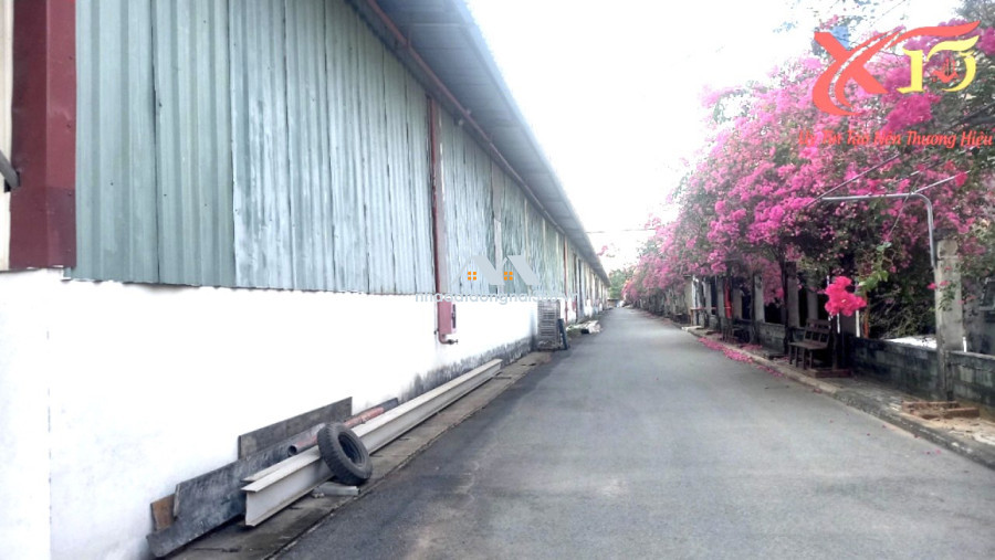 Bán xưởng gần 20.000m2 tại p Tam Phước, Biên Hòa giá rẻ nhất chỉ 87T