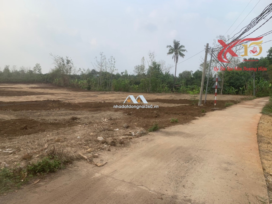 Bán đất xã Phú Ngọc Huyện Định Quán diện tích 11345m2 giá chỉ 6,8 tỷ