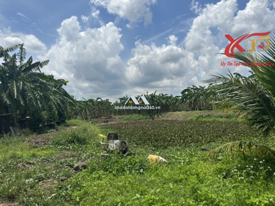 Bán đất nhà vườn xã Sông Thao Trảng Bom 4612m2 chỉ 1,2 tỷ /1 sào